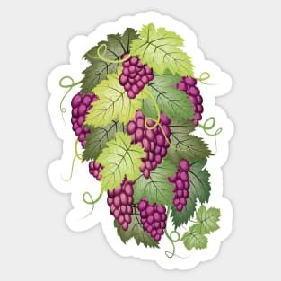 Bunches Of Grapes Sticker
